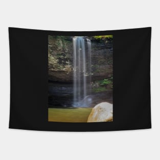 Cherokee Falls Cloudland Canyon Tapestry