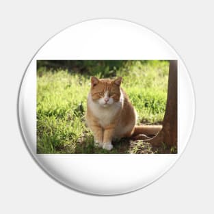 Neighborhood Visitor Cat Portrait Pin