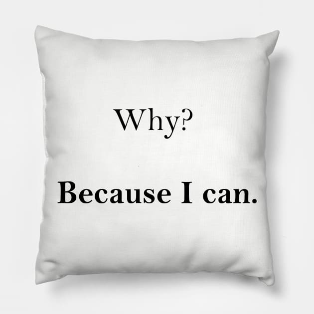 Why? Because I can. Pillow by MandalaHaze