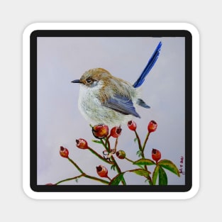 Little Wren on Rose Bush Magnet