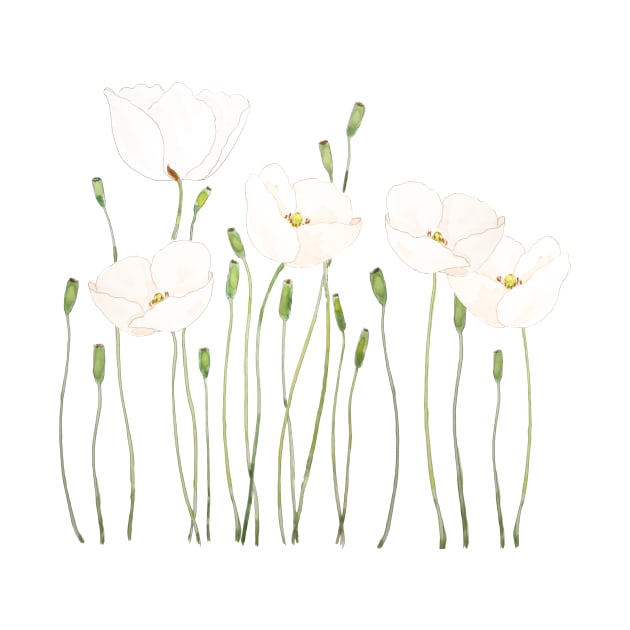 white poppy watercolor horizontal by colorandcolor