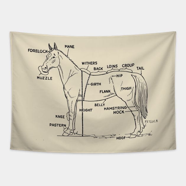 Horse anatomy Tapestry by MiRaFoto