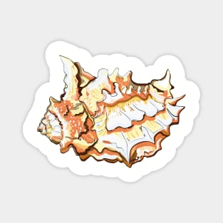 Seashell Magnet