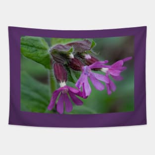 English Wild Flowers - Red Campion Tapestry