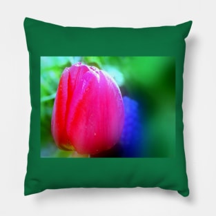 Tulip Flower Pillow