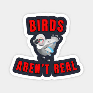 Birds Aren't Real Magnet