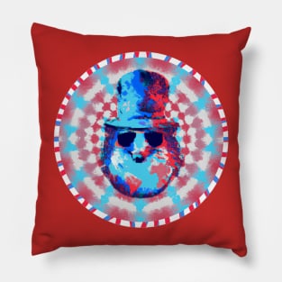 Dr who the hedgehog Pillow