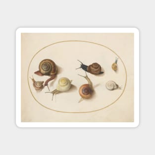 Naturalist Snails Magnet