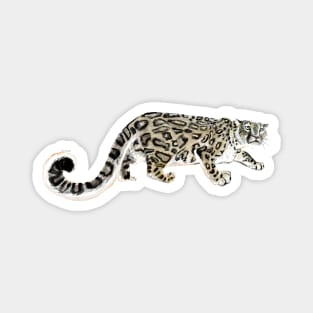 Snow leopard #3 Magnet