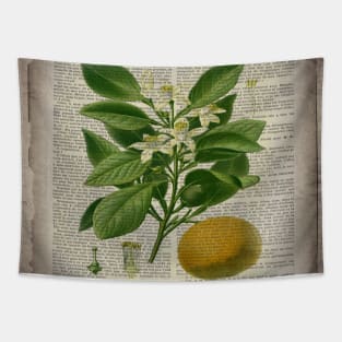 dark academia scripts hipster french botanical orange Tapestry