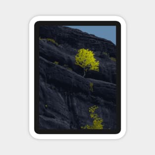 Black Rock Mountain - Landscape Magnet