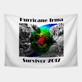 Hurricane Irma Survivor 2017 Tapestry