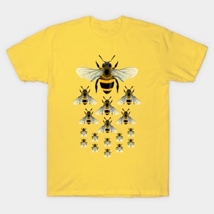 Official Bee Swarm Simulator Happy Honey-DaysT Shirt