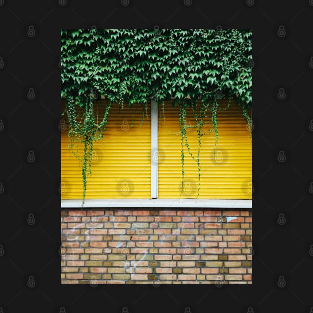 Yellow Window Roller Shutter by visualspectrum