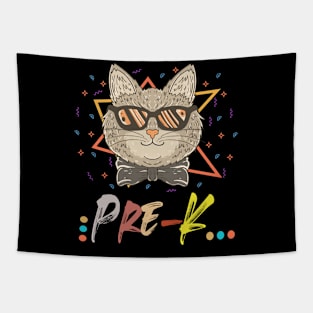 Pre-K Too Cool Cat Back To School Pre-Kindergarten Teacher & Student Tapestry