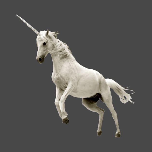 White Unicorn by bulubulu