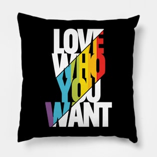 Love who you want! Pillow