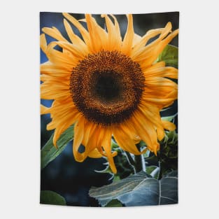 Sunday Sunflower Photograph Tapestry