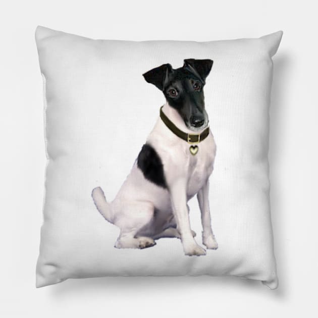 Black and White Smooth Fox Terrier Pillow by Dogs Galore and More