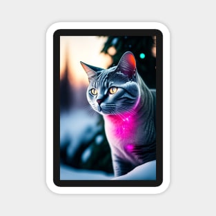 Pink Glow British Blue Cat Magnet