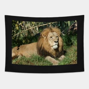 King Of The Jungle Tapestry