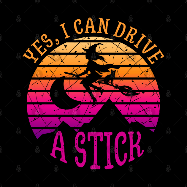 Why Yes, I can Drive A Stick witch and cat by Myartstor 