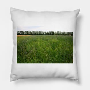 Monet's Meadow. Campogalliano, Italy 2011 Pillow