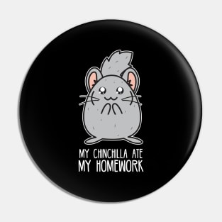 My chinchilla at my homework Pin