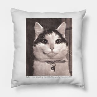 Buffins - Cat with the Most Appealing Expression in 1958 Pillow