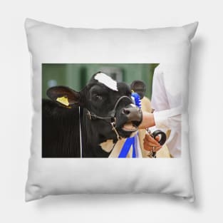 Champion Dairy Cow Pillow