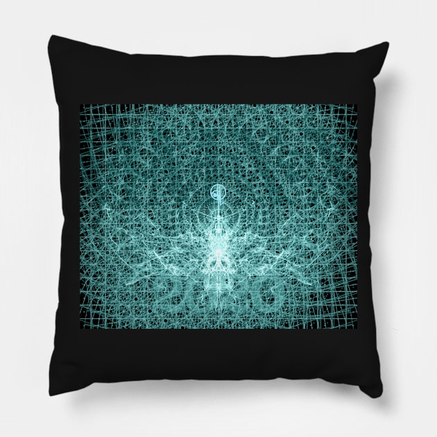 V2020 BIRTH OF PHOENIX Pillow by imagexcel