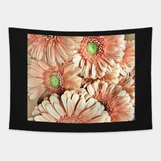 GERBERA Tapestry