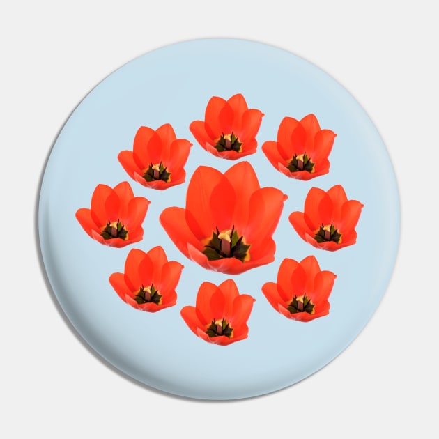 Red tulip Pin by chrisburrows