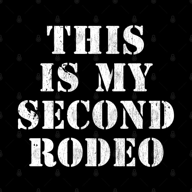 This is my second rodeo by Emroonboy