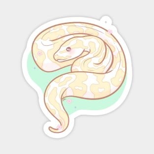 Albino Ball Python Original Illustration Magnet