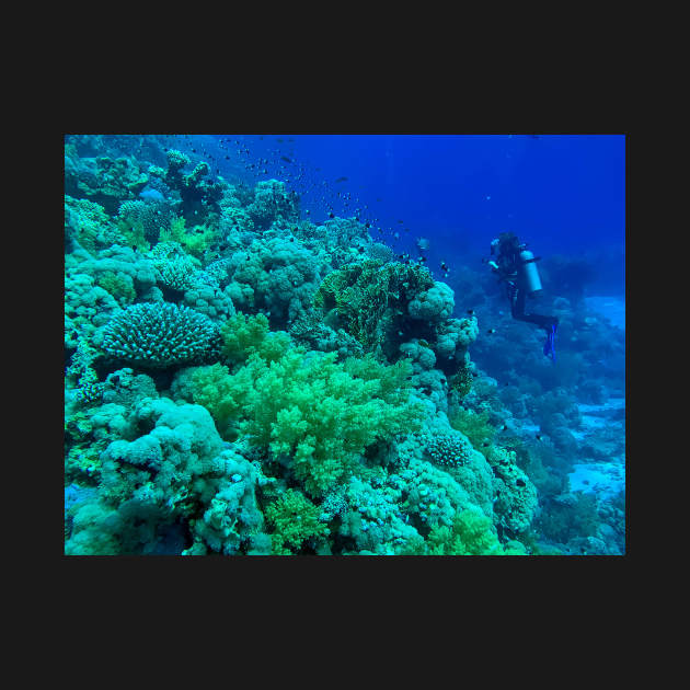 Coral reef and scuba diver by likbatonboot