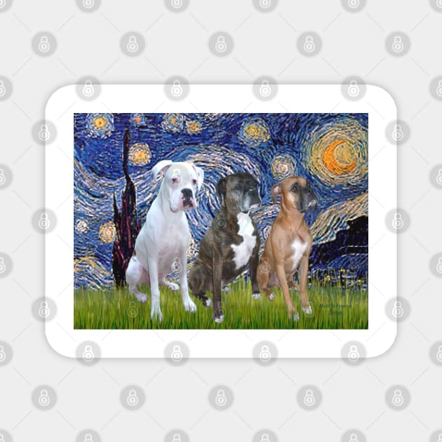 Starry Night with Three Boxers (natural ears) Magnet by Dogs Galore and More