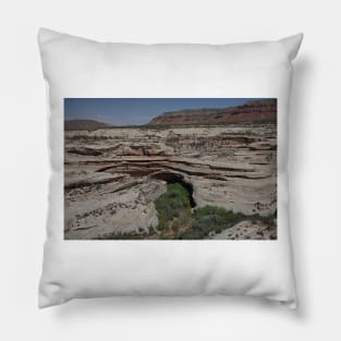 850_3871 Pillow