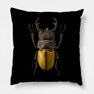 Insect Pillow