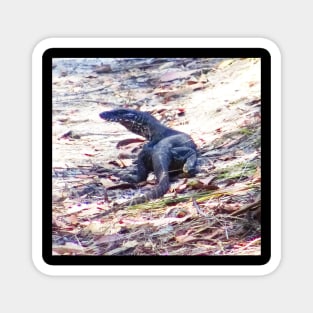 Goanna in the Bush! Magnet