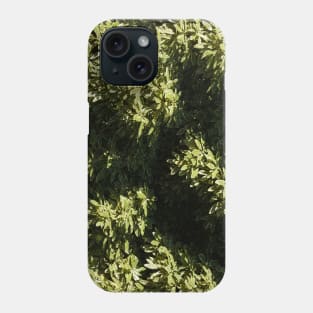 Green Leaves Tree Canopy High Above Phone Case