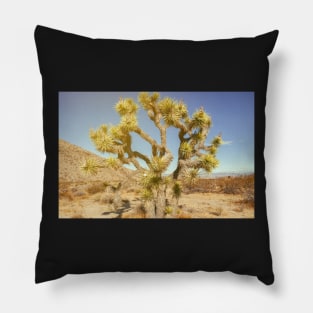 Joshua Tree Pillow