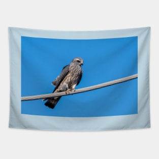 Mississippi Kite Juvenile All Alone Tapestry