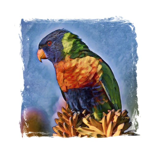 Rainbow Lorikeet Australian Bird by PhotoArts