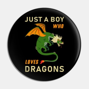 Just a boy who loves dragons Pin