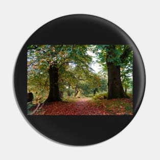 Autumn Woodland Path With Colorful Fallen Leaves Pin