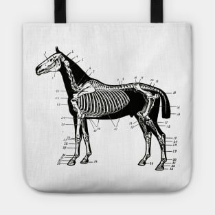 Horse Skeleton Drawing Tote