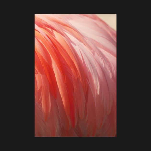 Flamingo #12 by ALICIABOCK