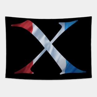 France flag X Tapestry