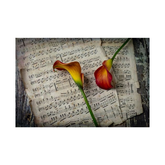 Calla Lillies On Sheet Music by photogarry